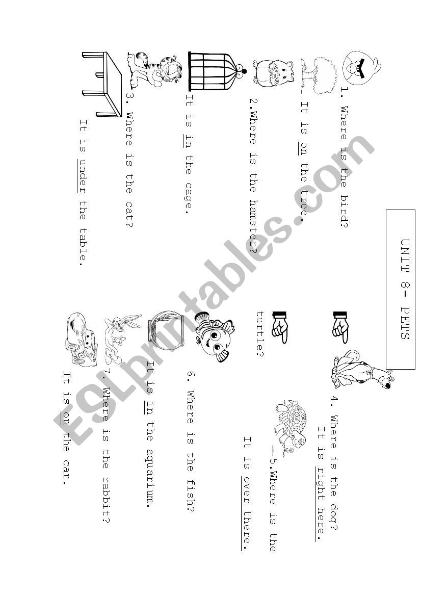 PETS PREPOSITIONS worksheet