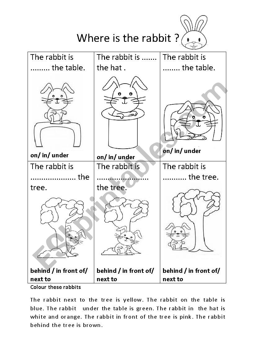 Where is the rabbit ? worksheet
