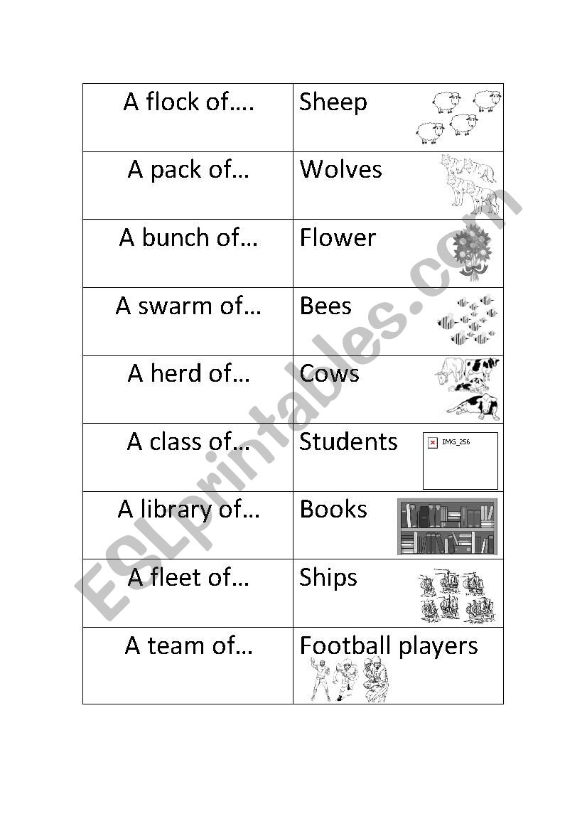 Collective nouns- tiny cards activity