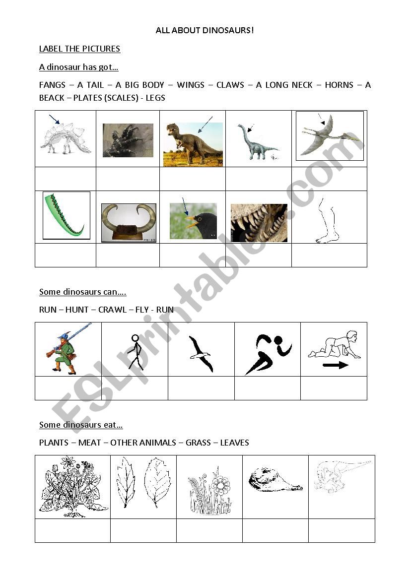 All about dinosaurs worksheet