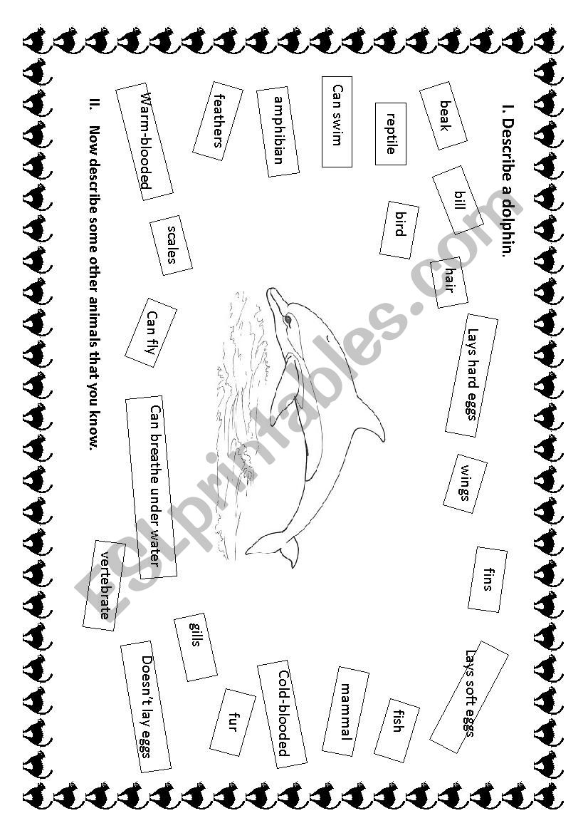 Describe a dolphin. worksheet