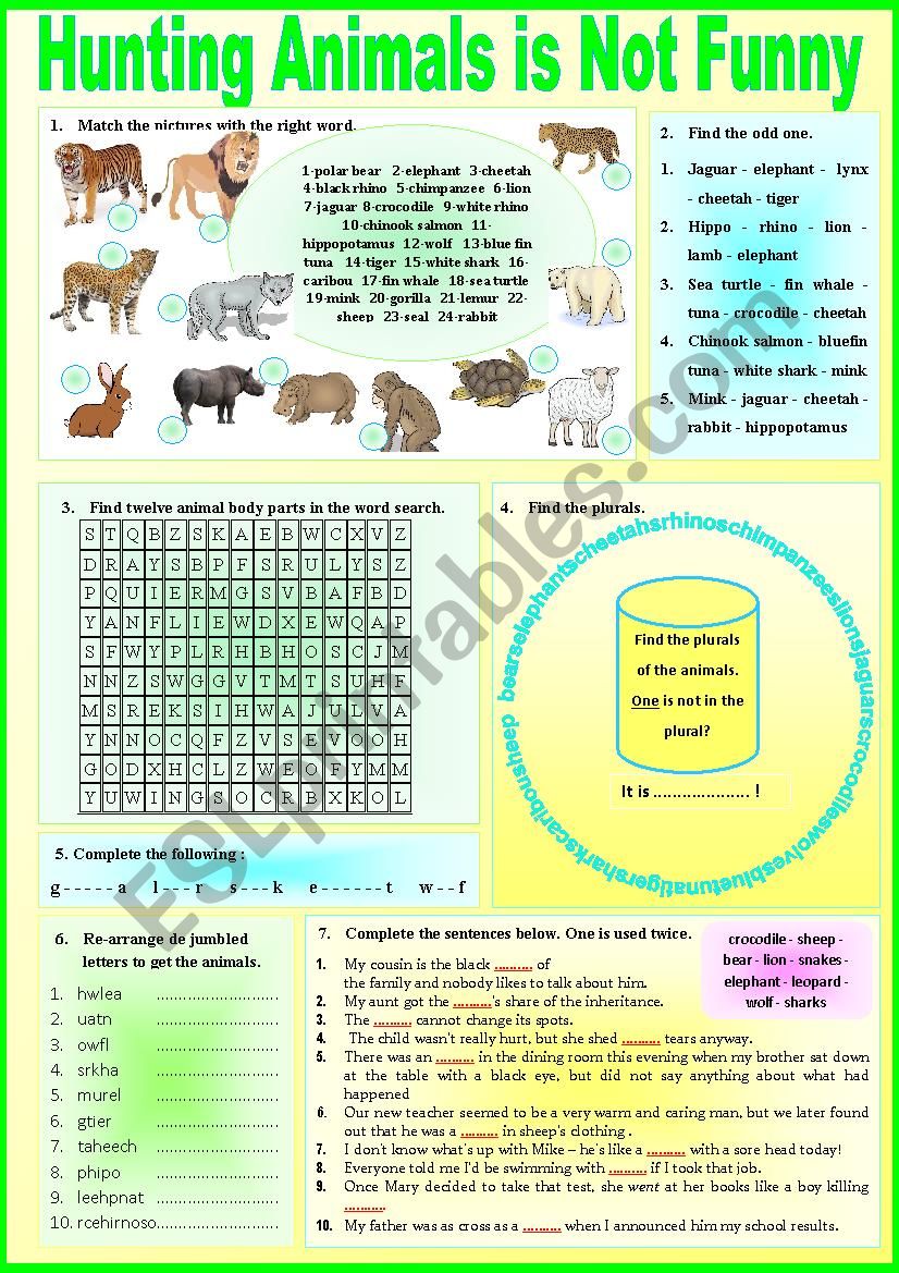 Hunting animals is not funny. Varied exercises + KEY