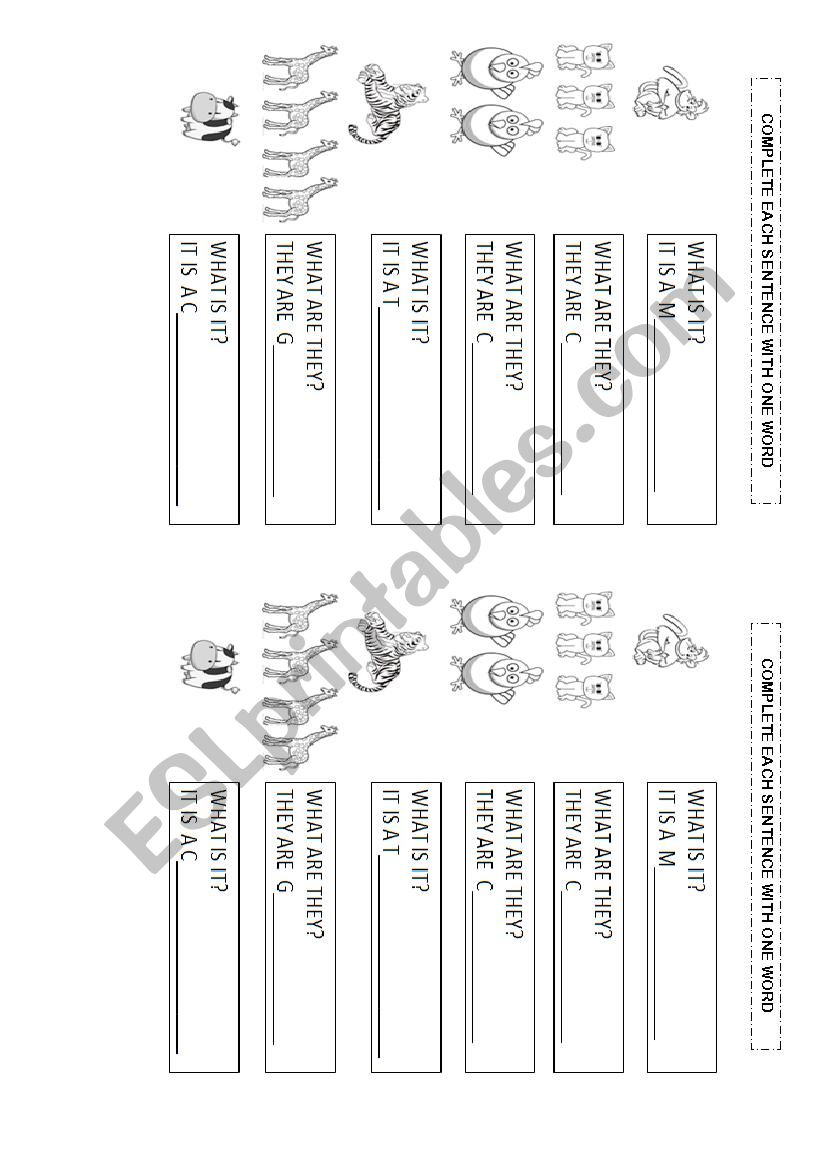 Animals worksheet