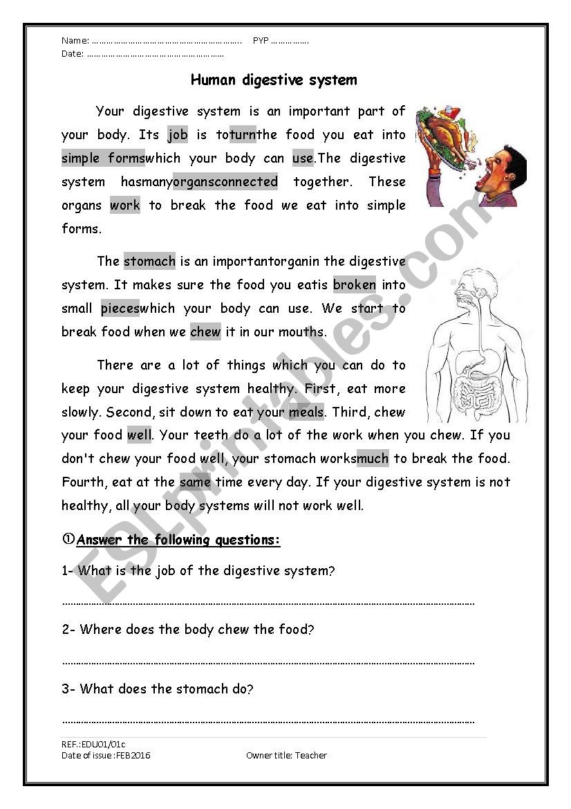 A reading comprehension passage about the digestive system