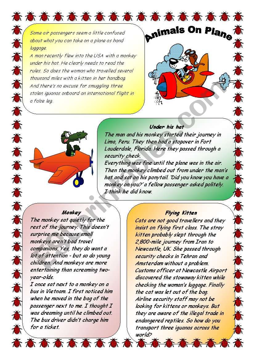 ANIMALS ON PLANE. 30.07.2008 worksheet