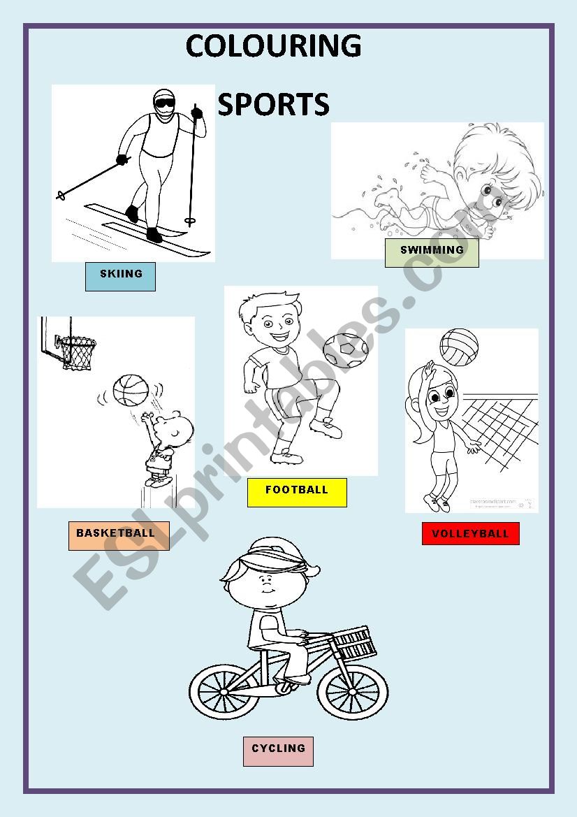 Sports worksheet