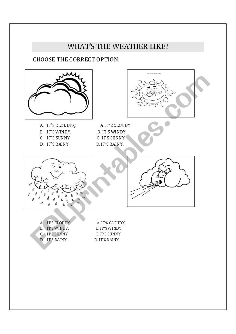 WHATS THE WEATHER LIKE? worksheet