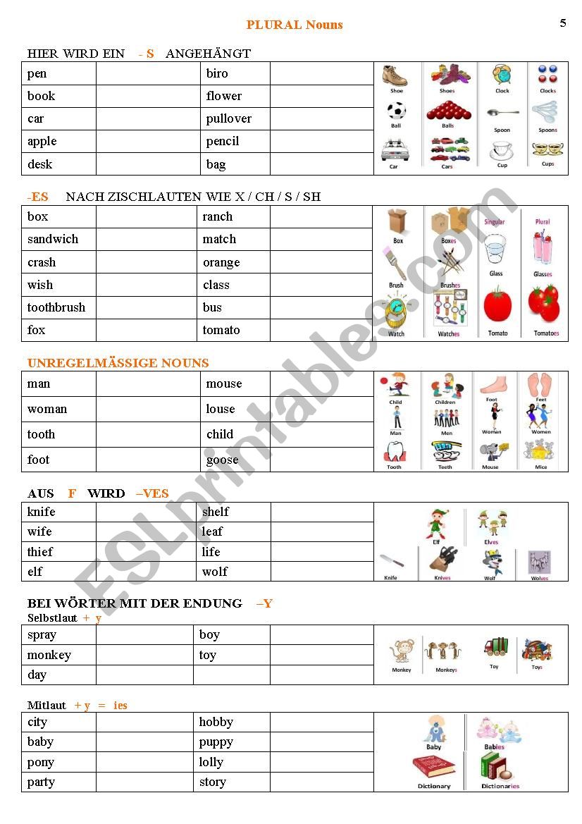 noun plurals worksheet