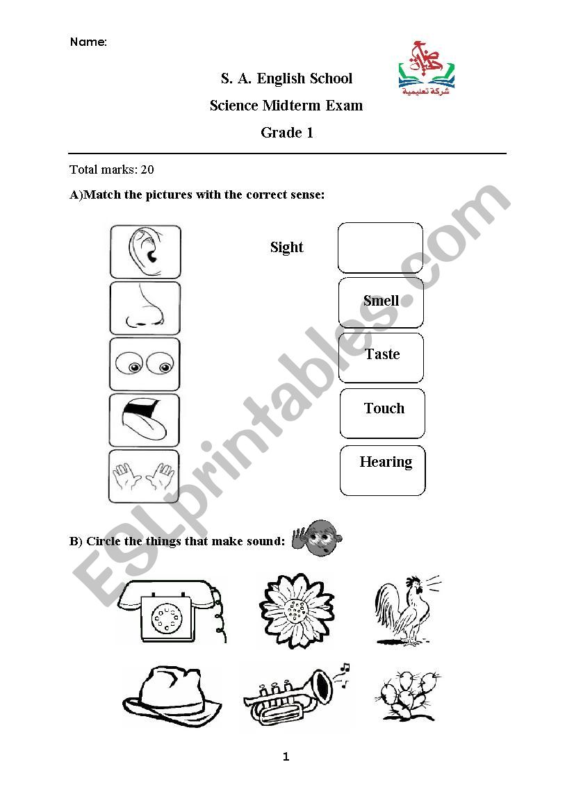 5 senses worksheet