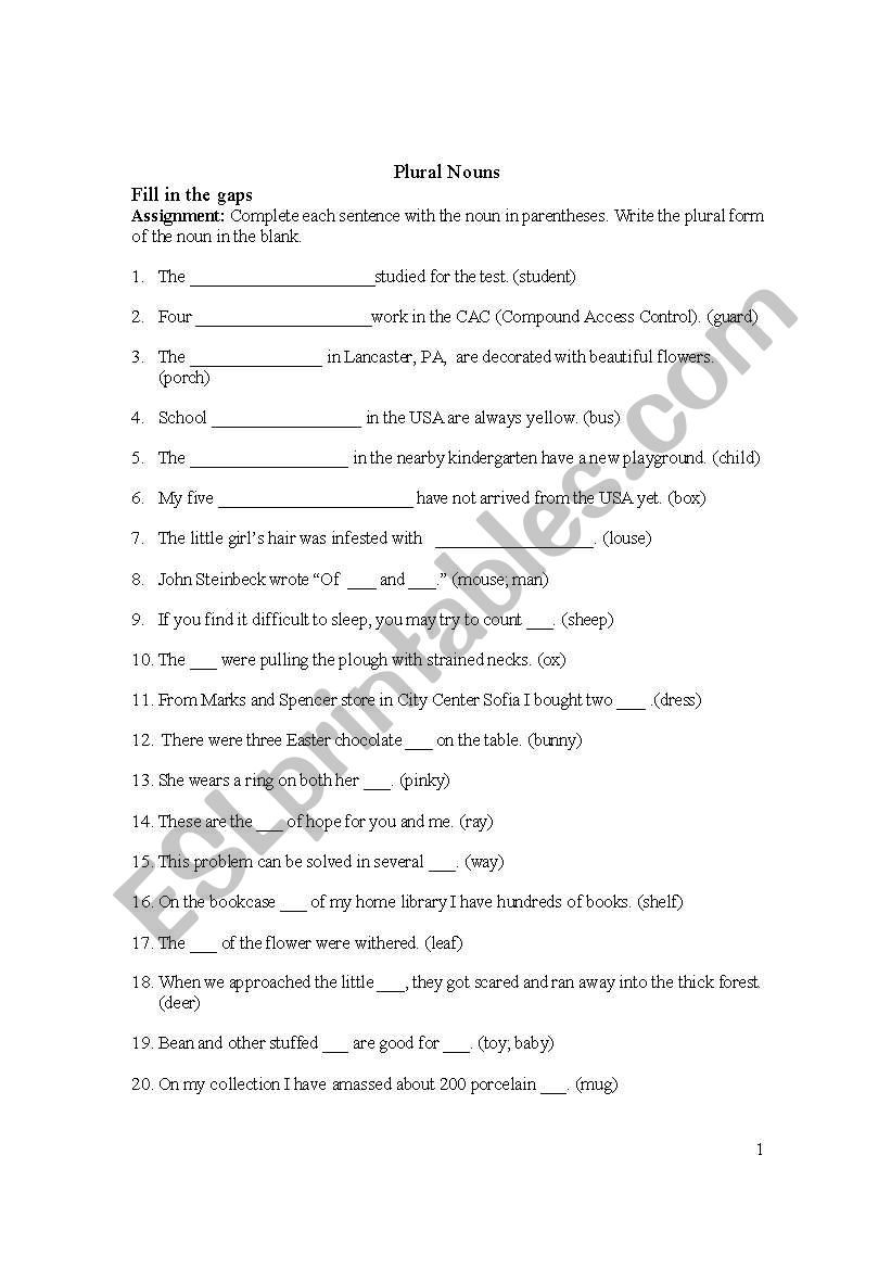 Plural Nouns worksheet