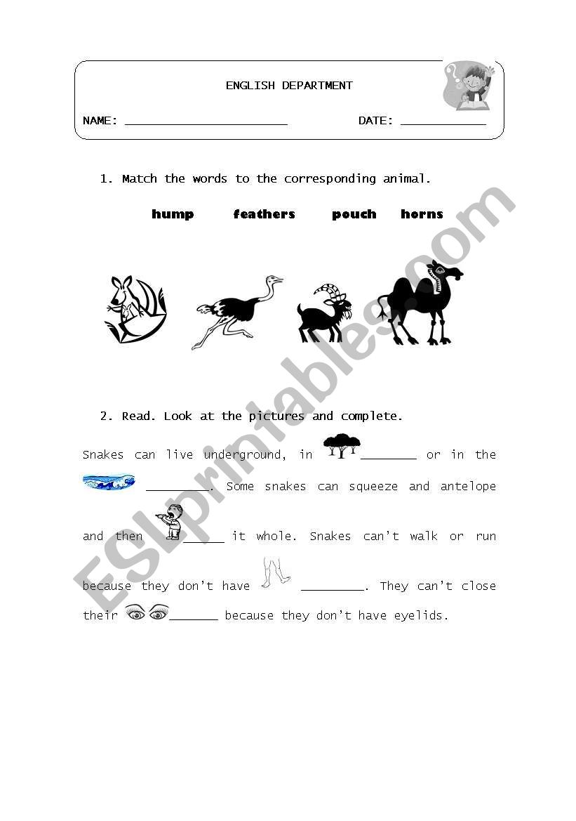 Animal world worksheet