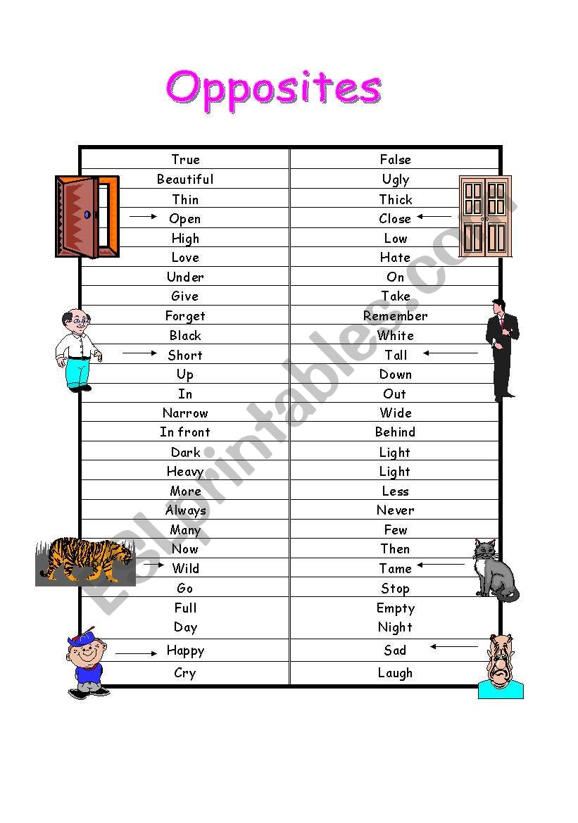 opposites worksheet