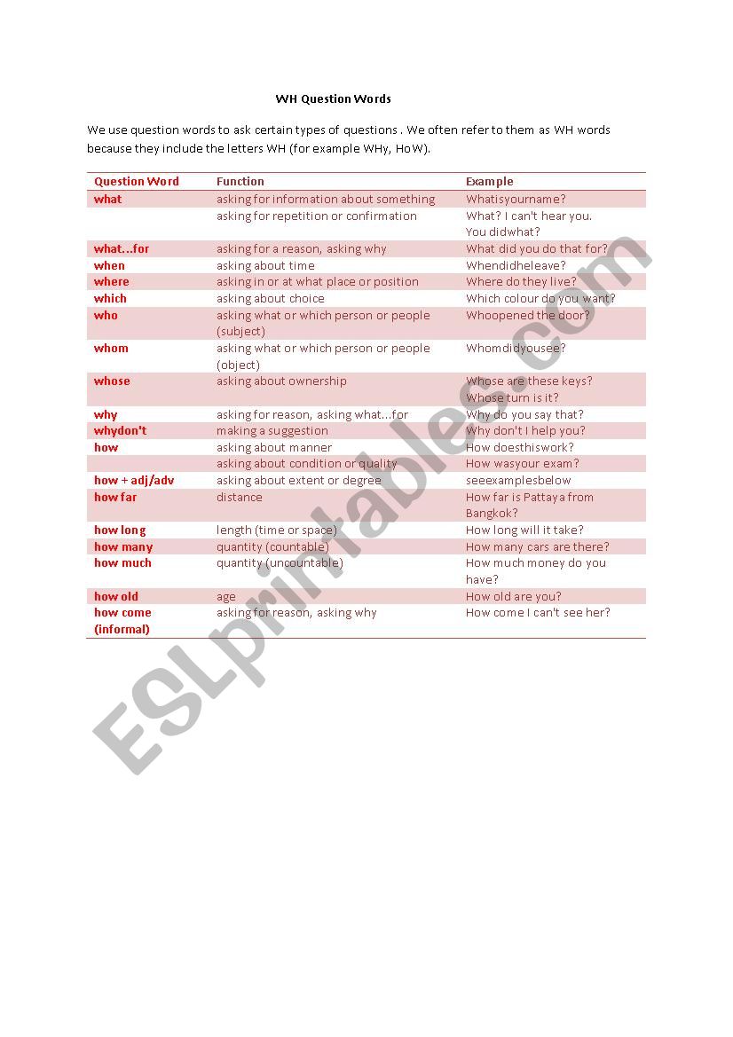 Wh question worksheet