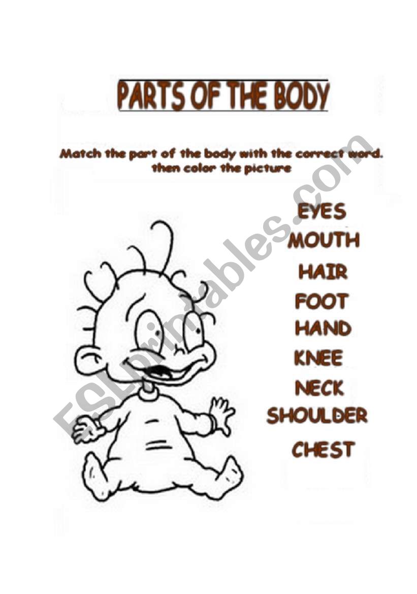 PARTS OF THE BODY worksheet