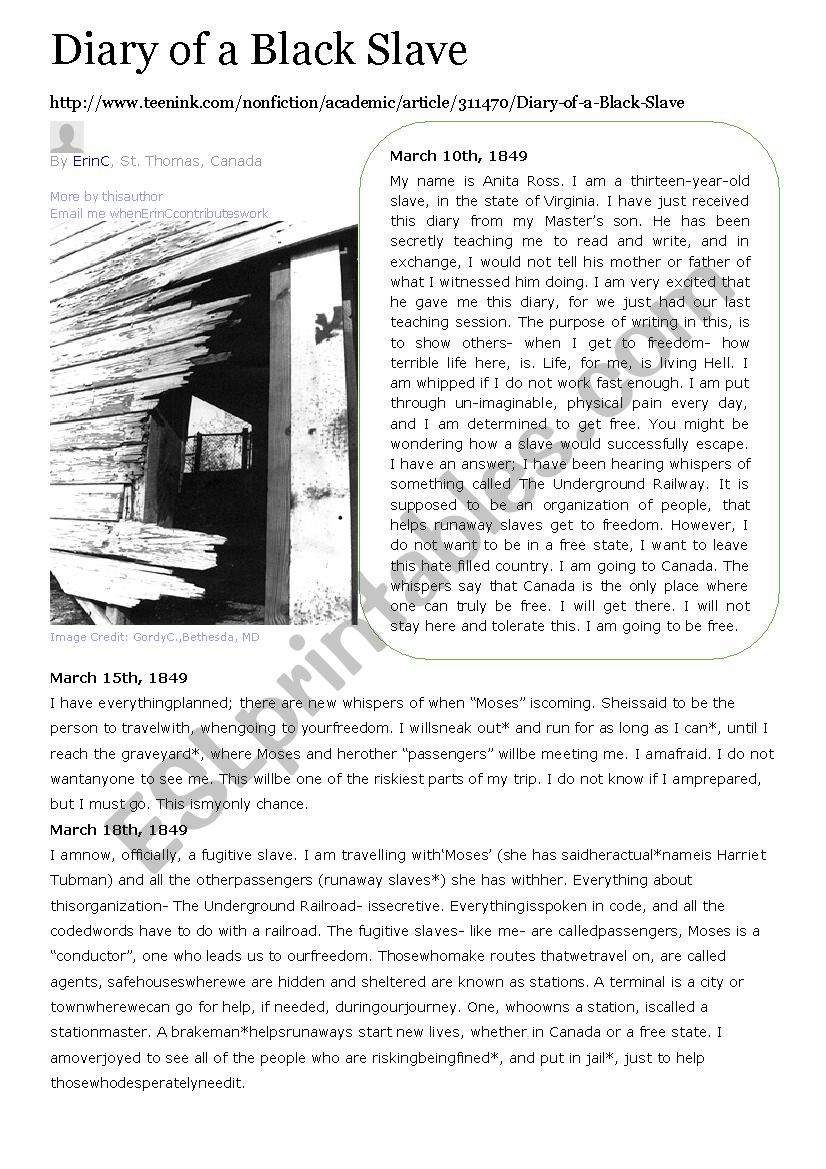 Diary of a black slave  worksheet