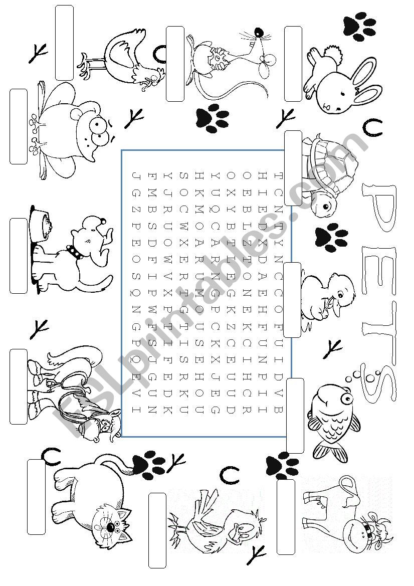 PETS worksheet