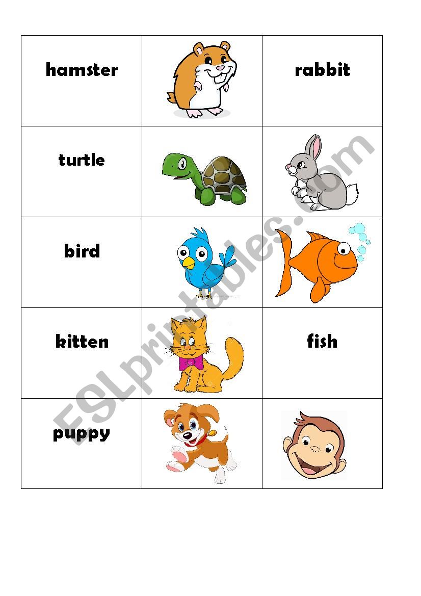 Animals Card Game worksheet