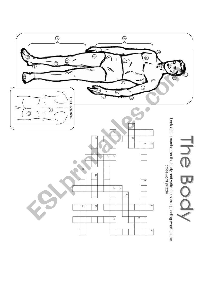 The Body Crossword Puzzle - Greyscale 30.07.08