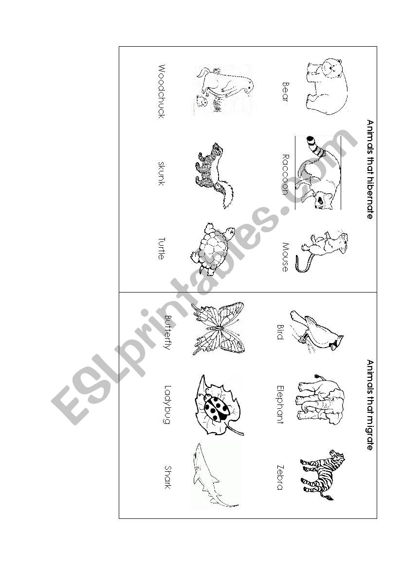 Migrate and Hiberate Animals worksheet