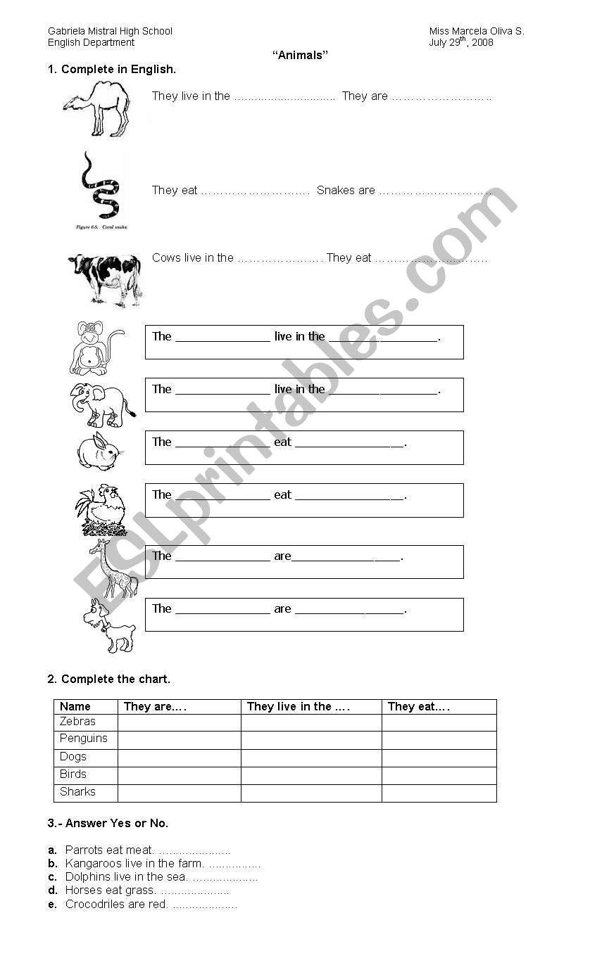 Animals description worksheet