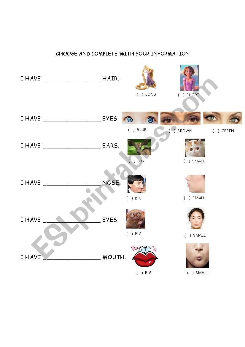 Physical Description worksheet
