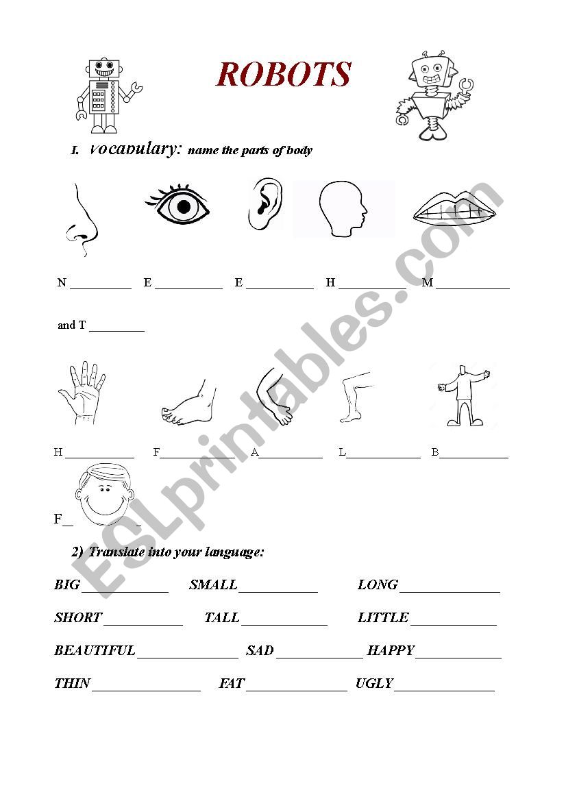 Robots worksheet