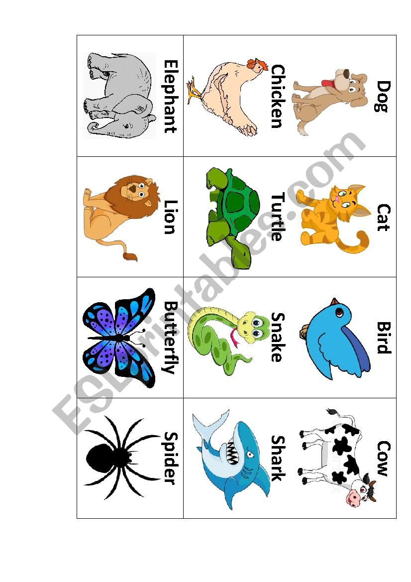 Animal Flashcards worksheet