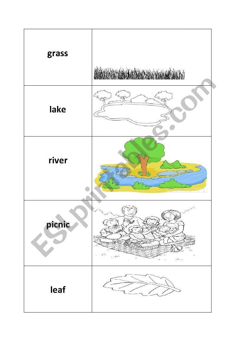 match the words with the pictures