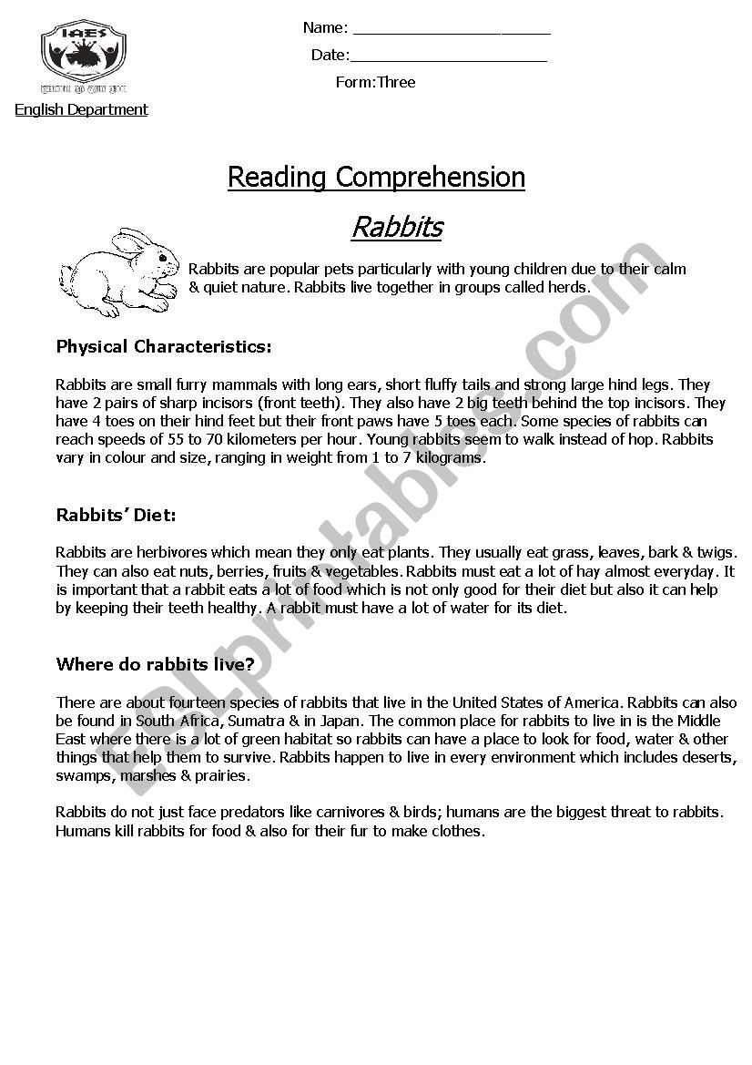 Reading Comprehension - Non-Chronological Report (Rabbits)