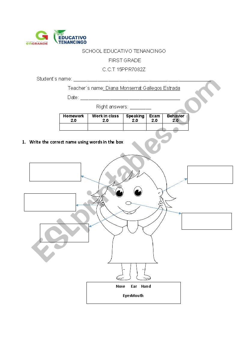 Exam  worksheet