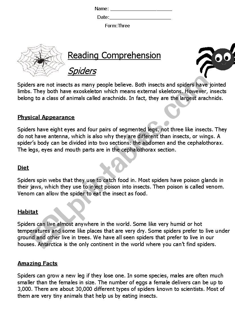 Reading Comprehension Non-Chronological Report (Spiders) 