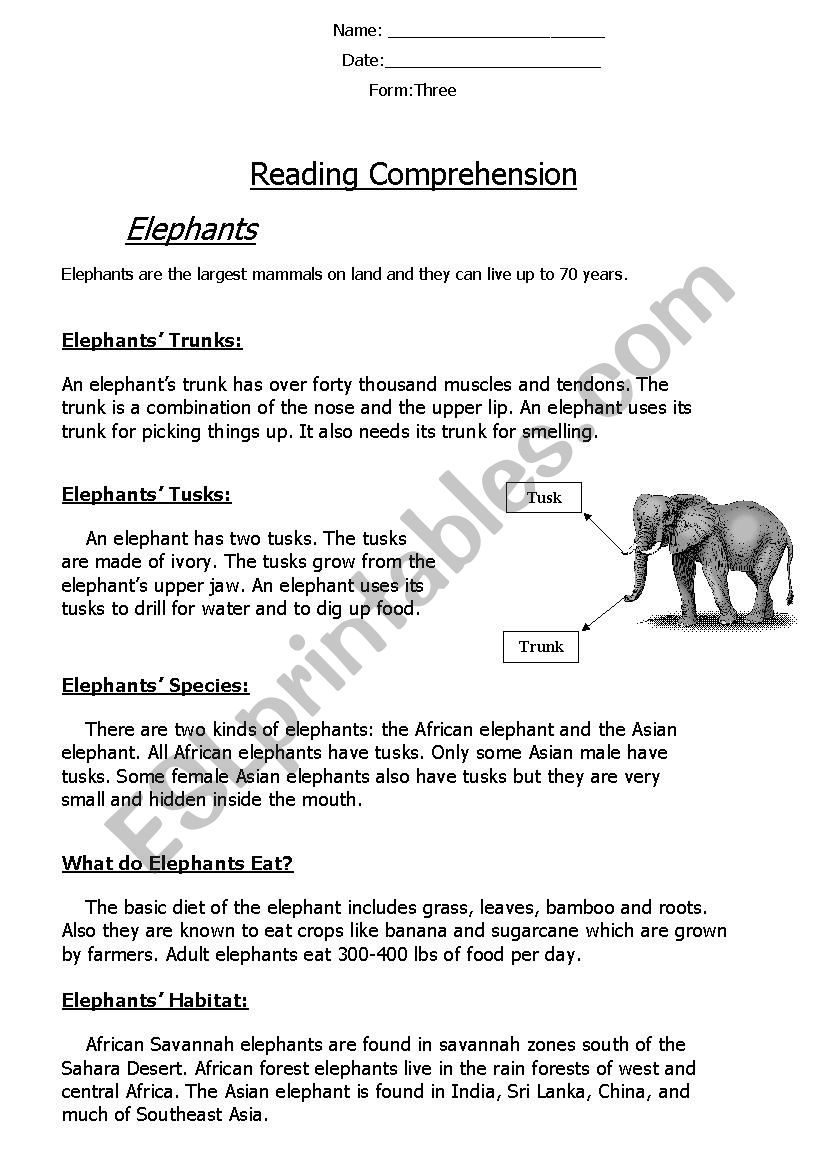 Reading Comprehension Non-Chronological Report (Elephants) 