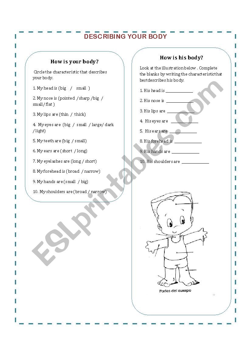 Describing your body worksheet