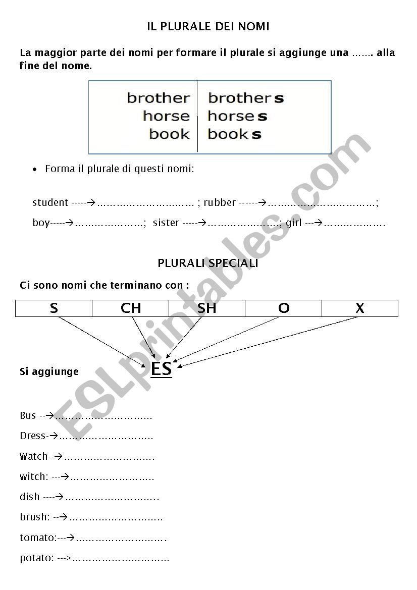 plurale dei nomi worksheet