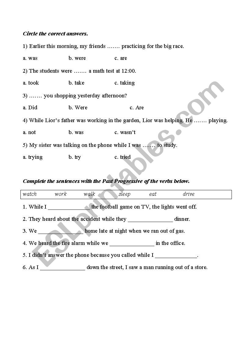Past progressive worksheet worksheet