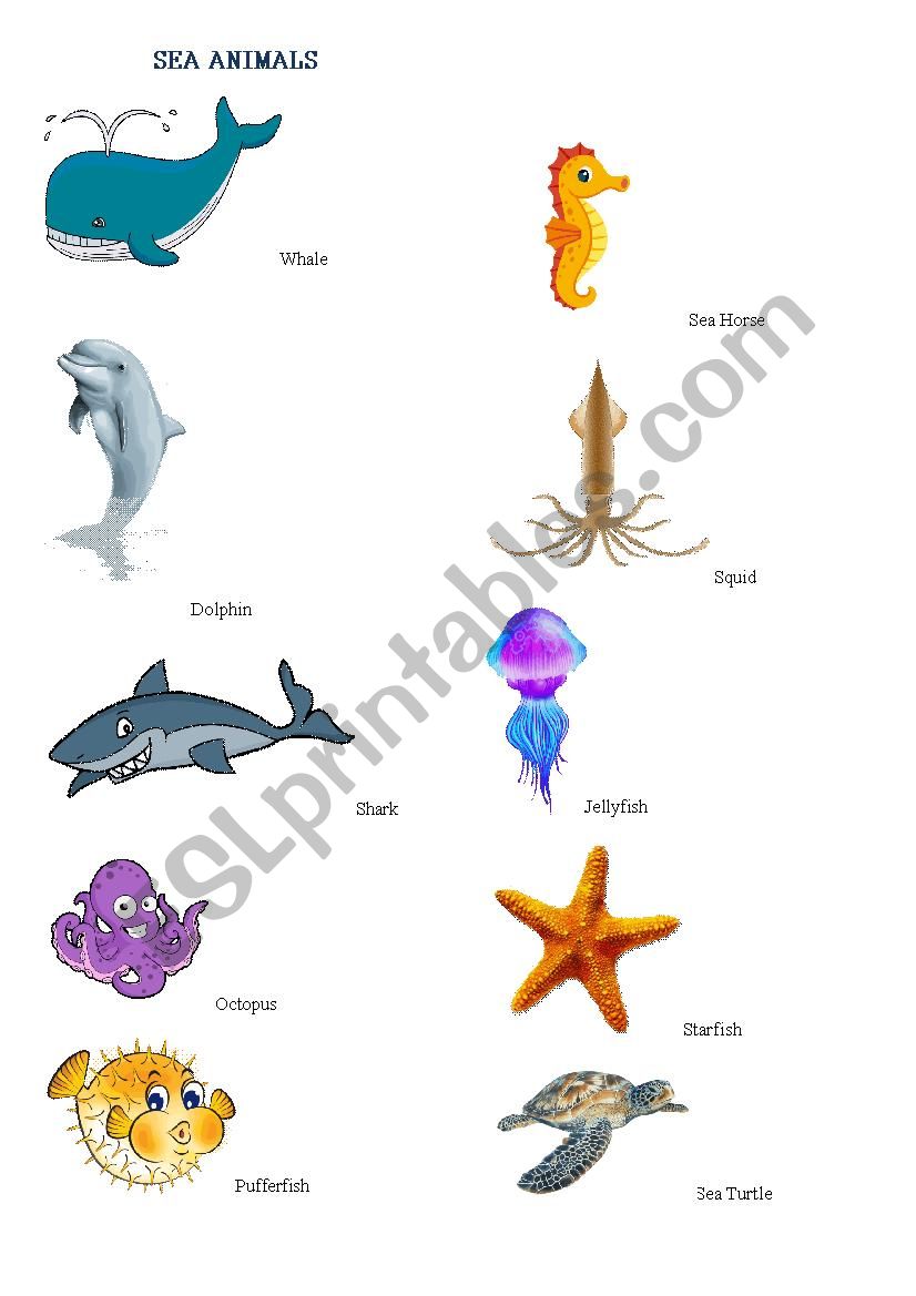 Sea Animals worksheet