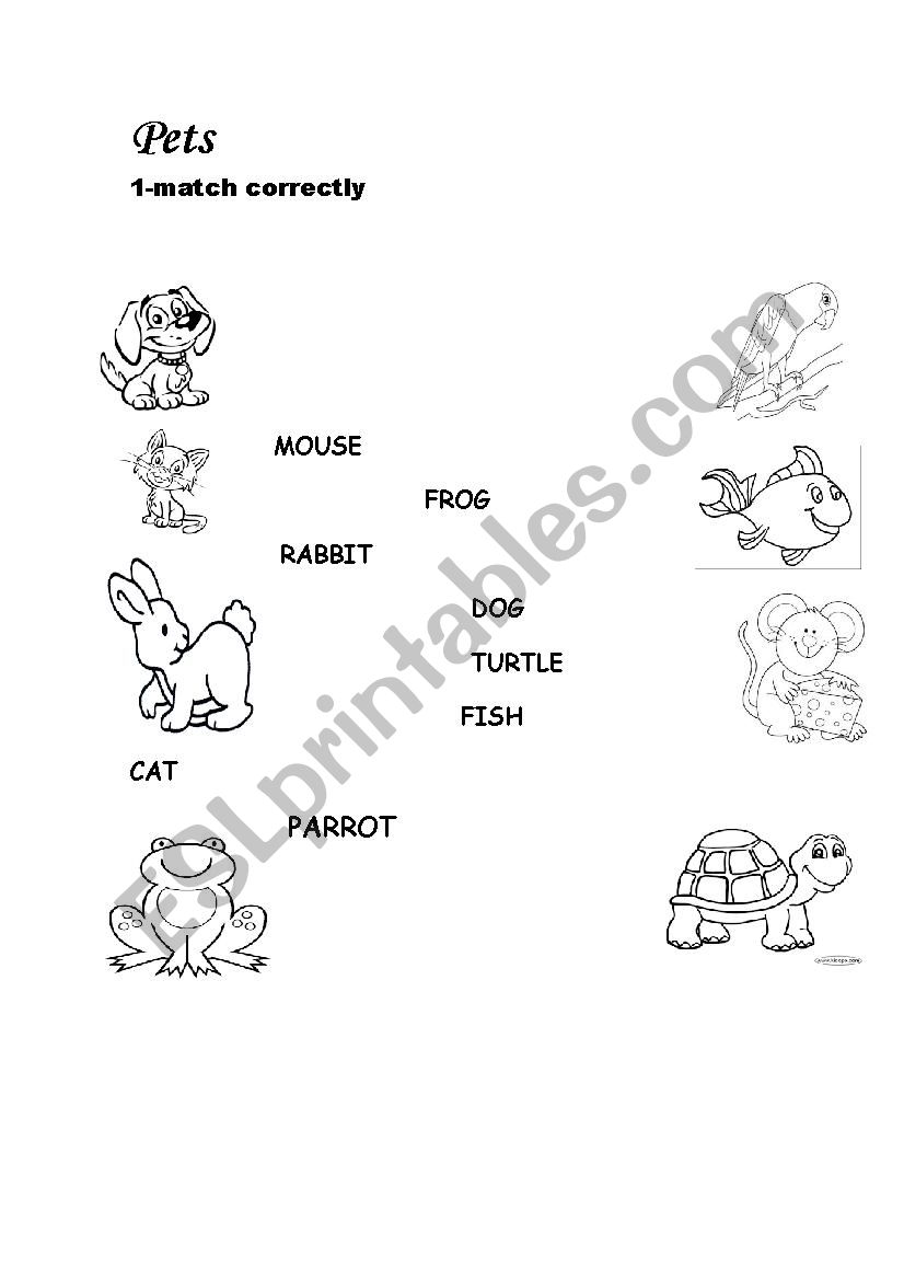 pets worksheet