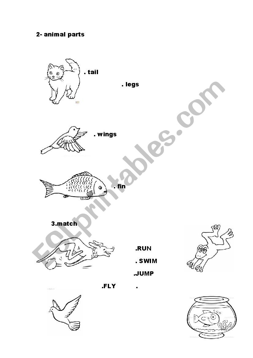 pets  worksheet