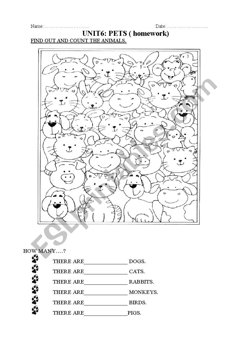 animals worksheet