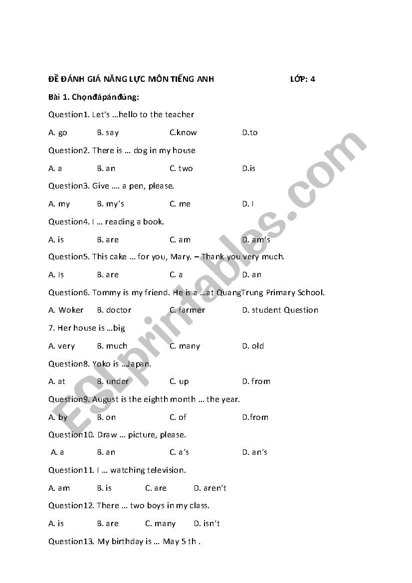 English Evaluation Test worksheet