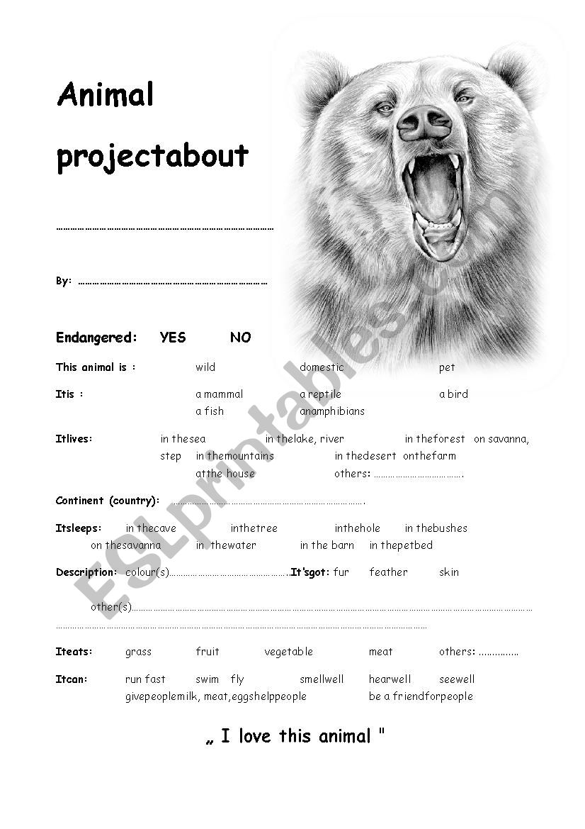 Bear Project worksheet