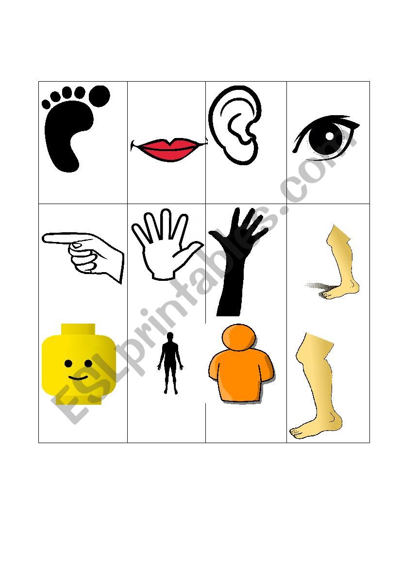 Body Parts worksheet
