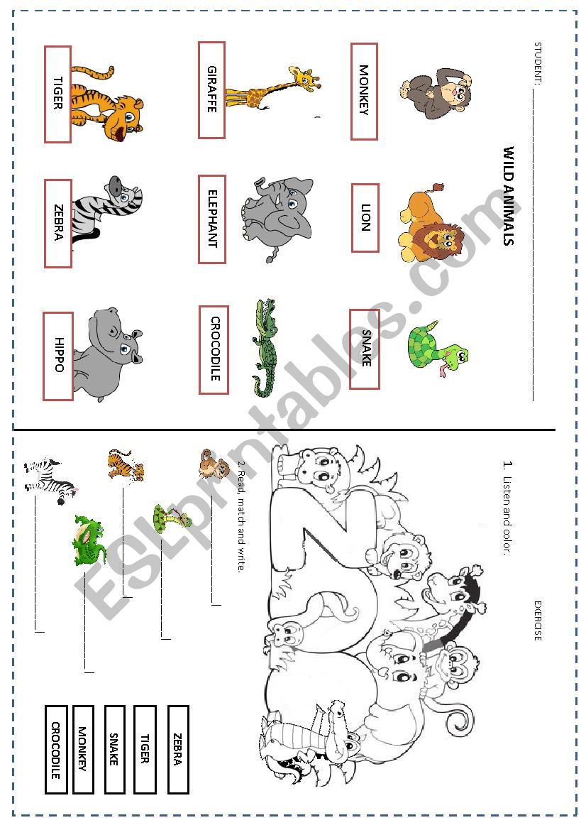 Wild animals worksheet