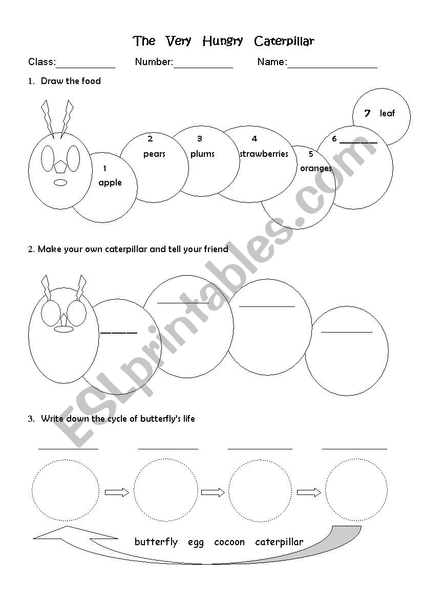 The very hungry caterpillar worksheet