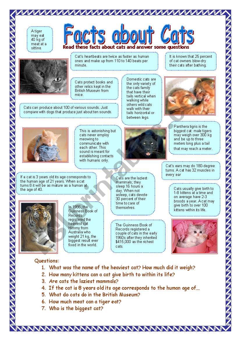 Facts about cats (31.07.08) worksheet