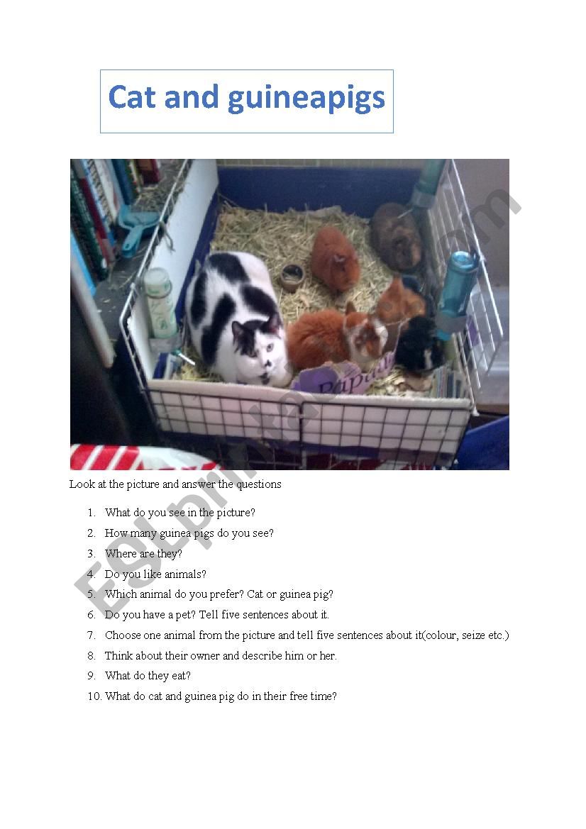The cat and the guinea pigs worksheet