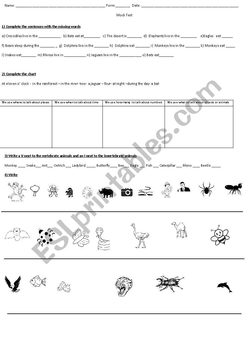 Test 13 worksheet