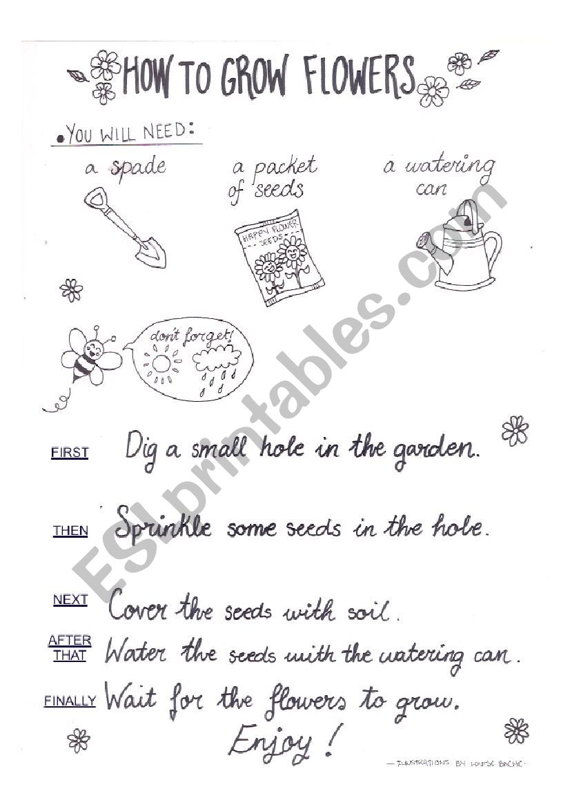 How to grow flowers 1 worksheet