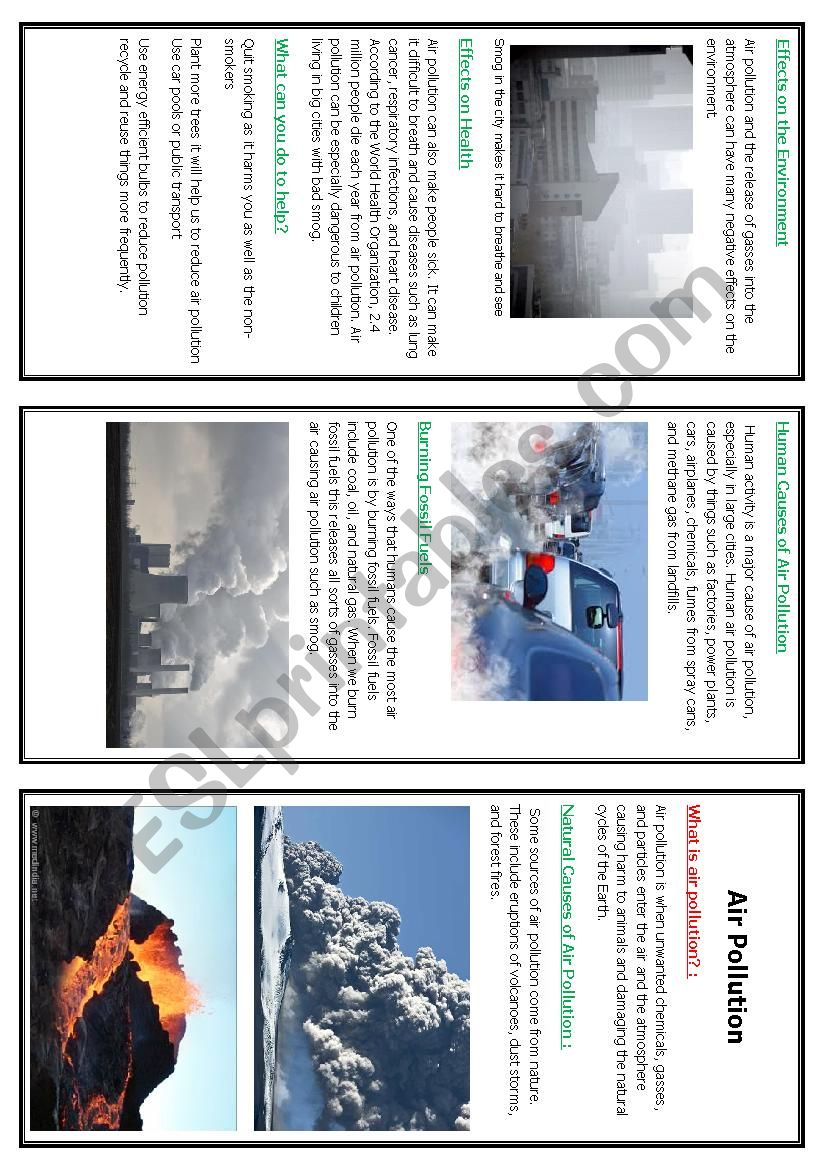 Pollution  worksheet