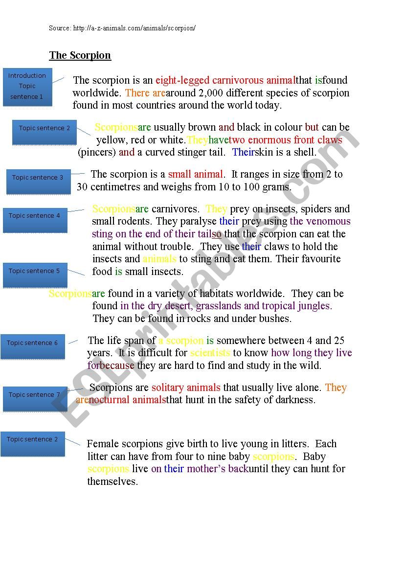 Animal Description worksheet